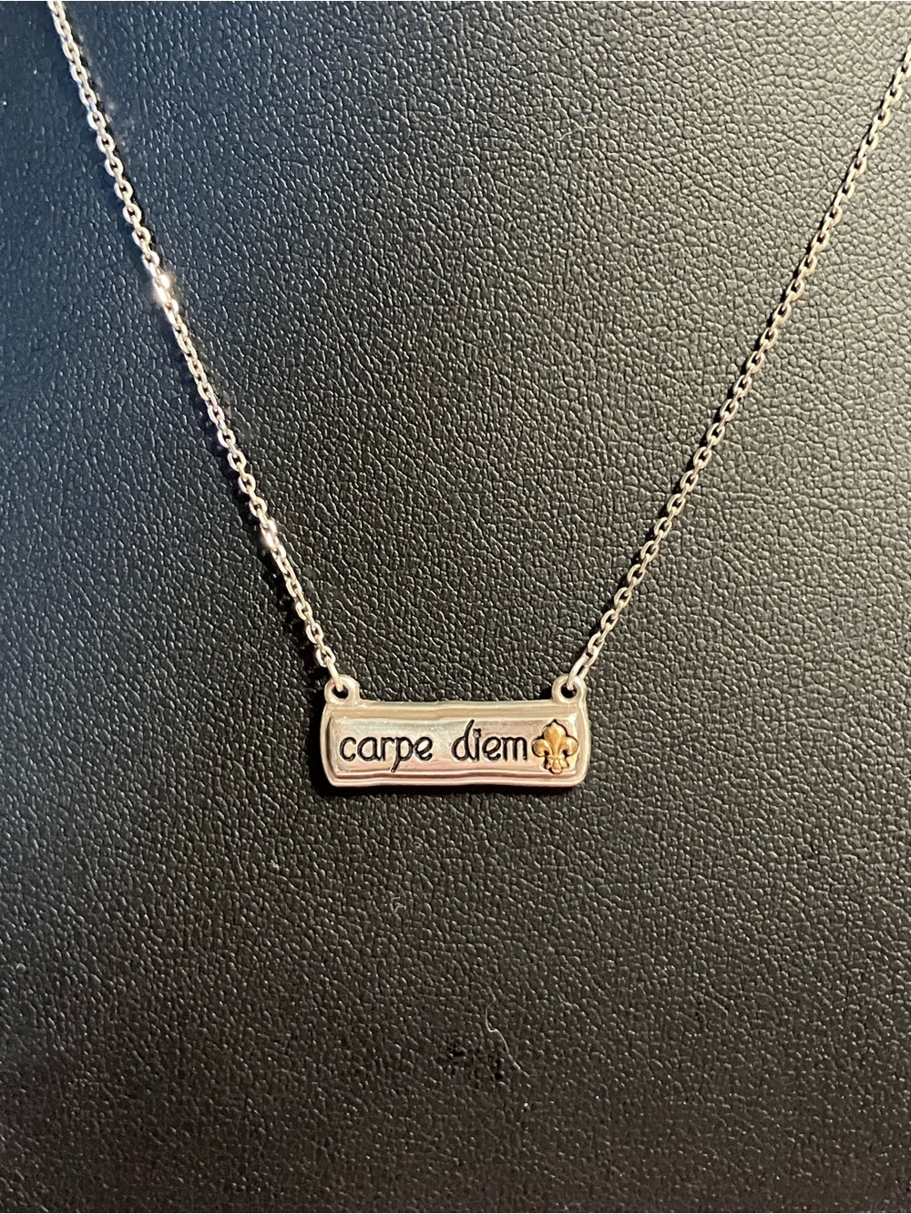 🌸Brighton ‘Carpe Diem ‘Silver Bar Necklace with Fleur-de-Lis Accent